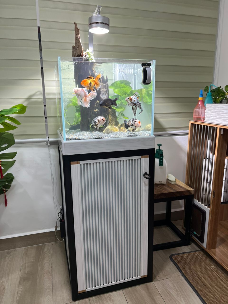 Aquarium Aquascape_13
