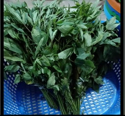 Gongura bunch
