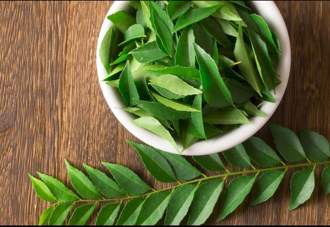 Curry leaf pack_0