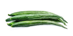 Snake gourd 1 pc
