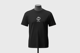 T-shirt standard
