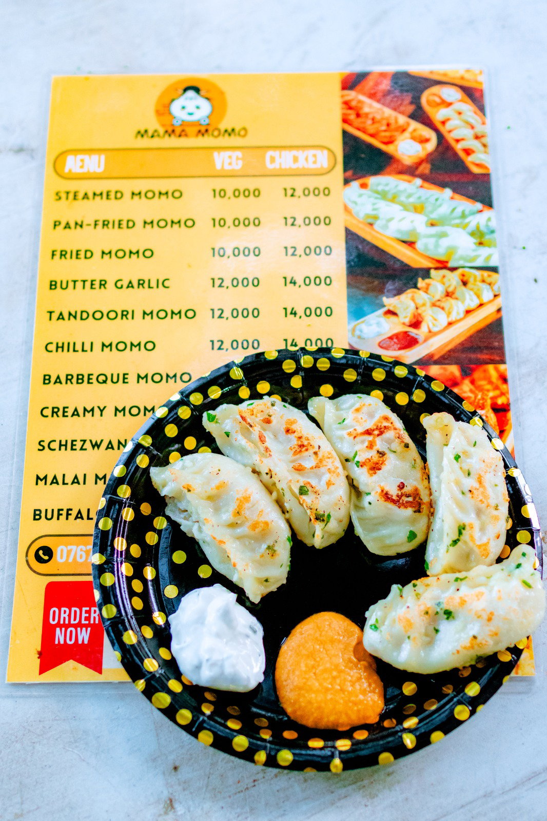 Pan Fried Chicken Momo_0