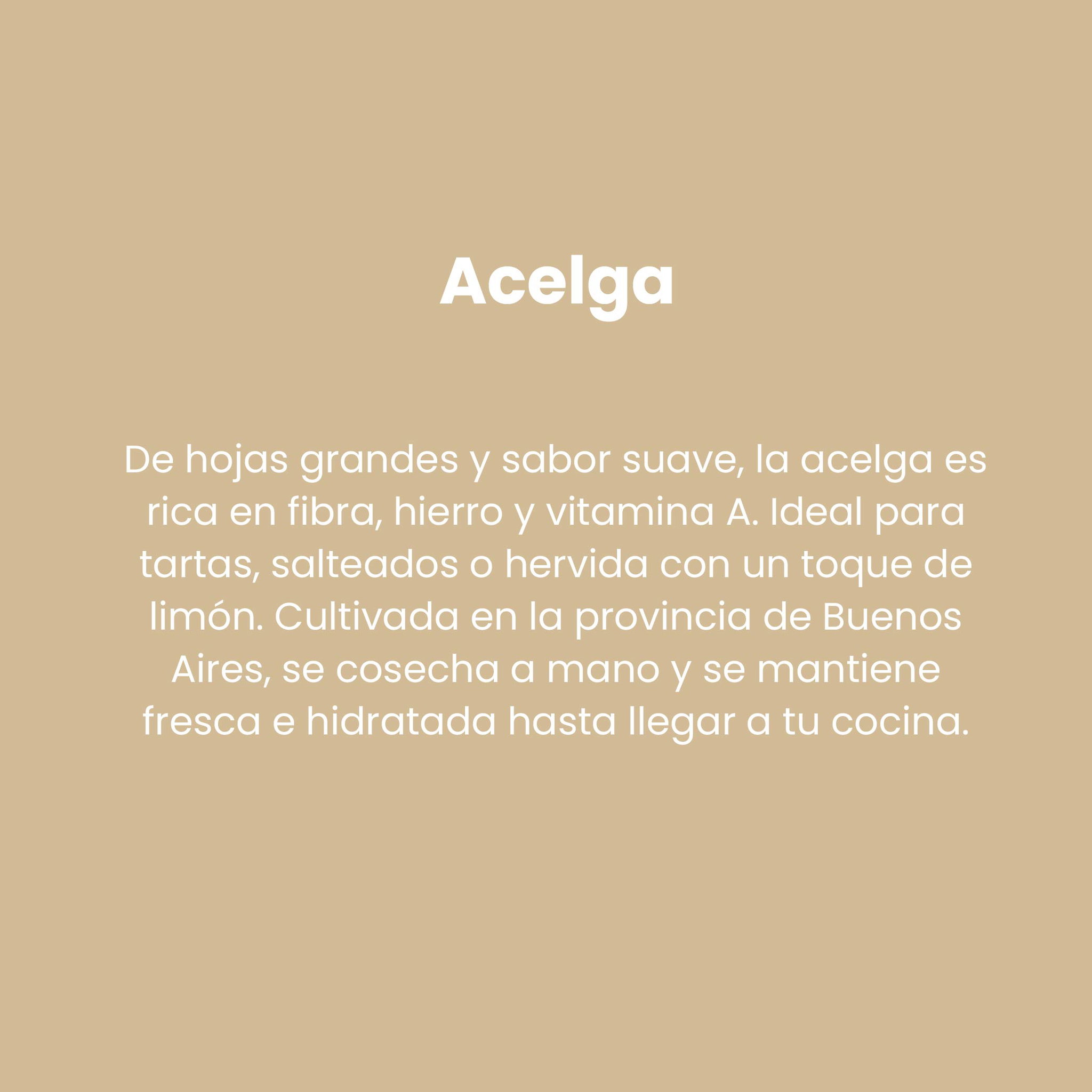 Acelga_1