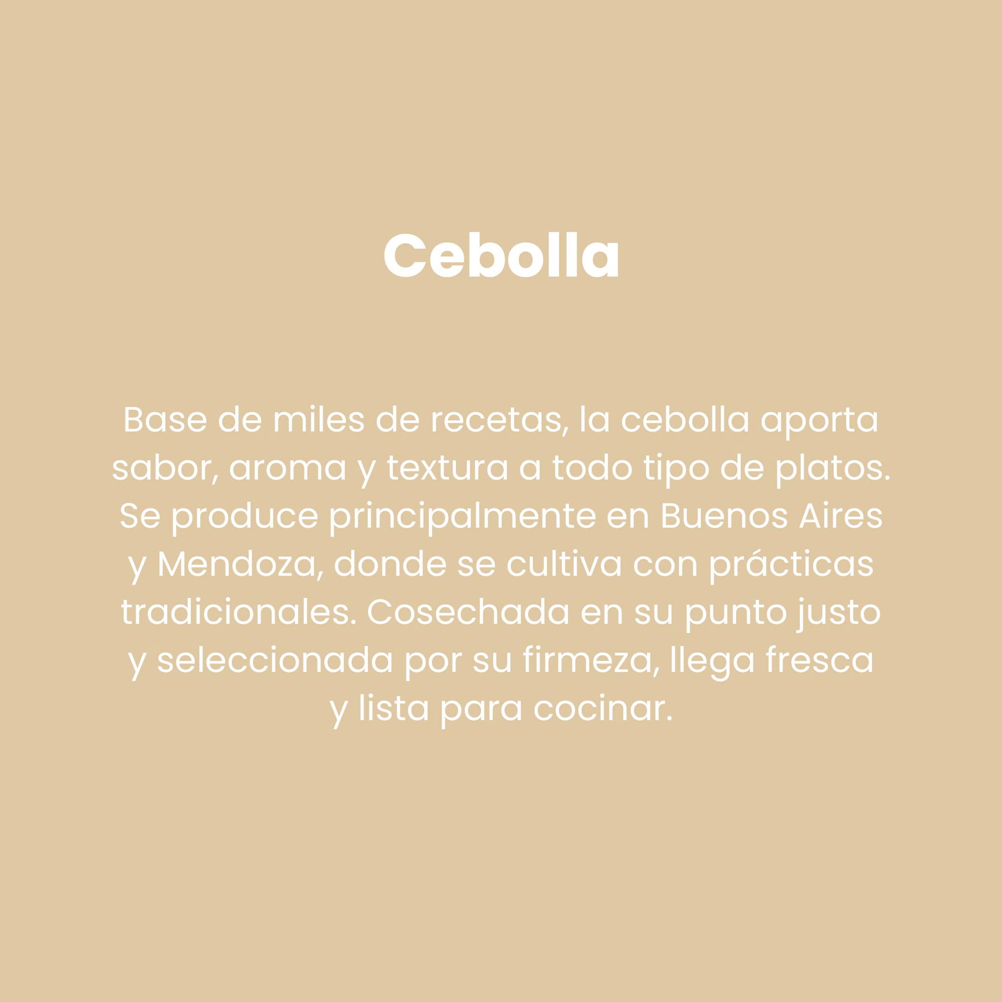Cebolla_1