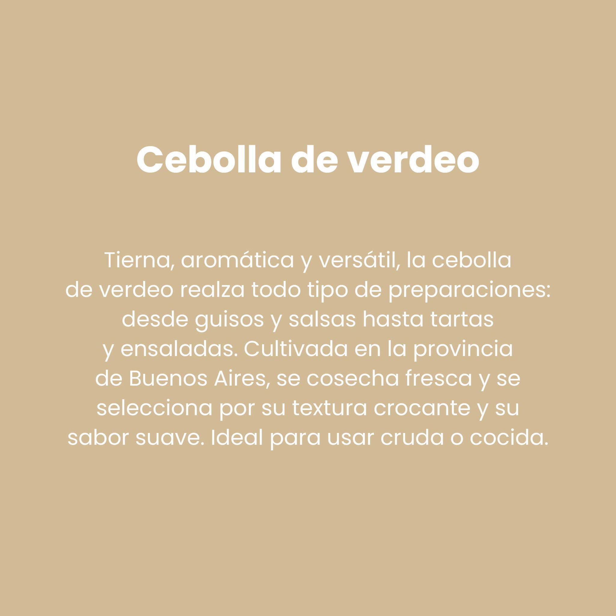 Cebolla de Verdeo por atado_1