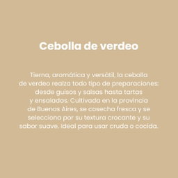 Cebolla de Verdeo por atado