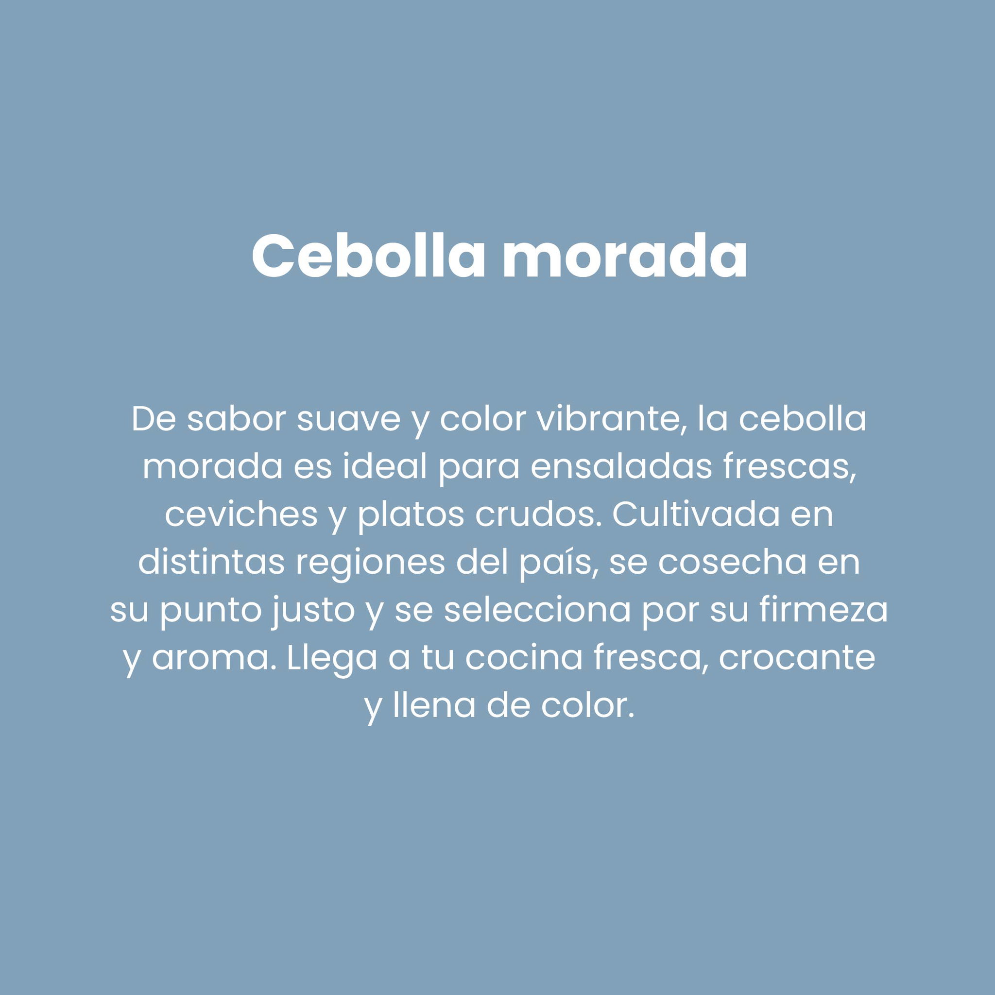 Cebolla Morada_1