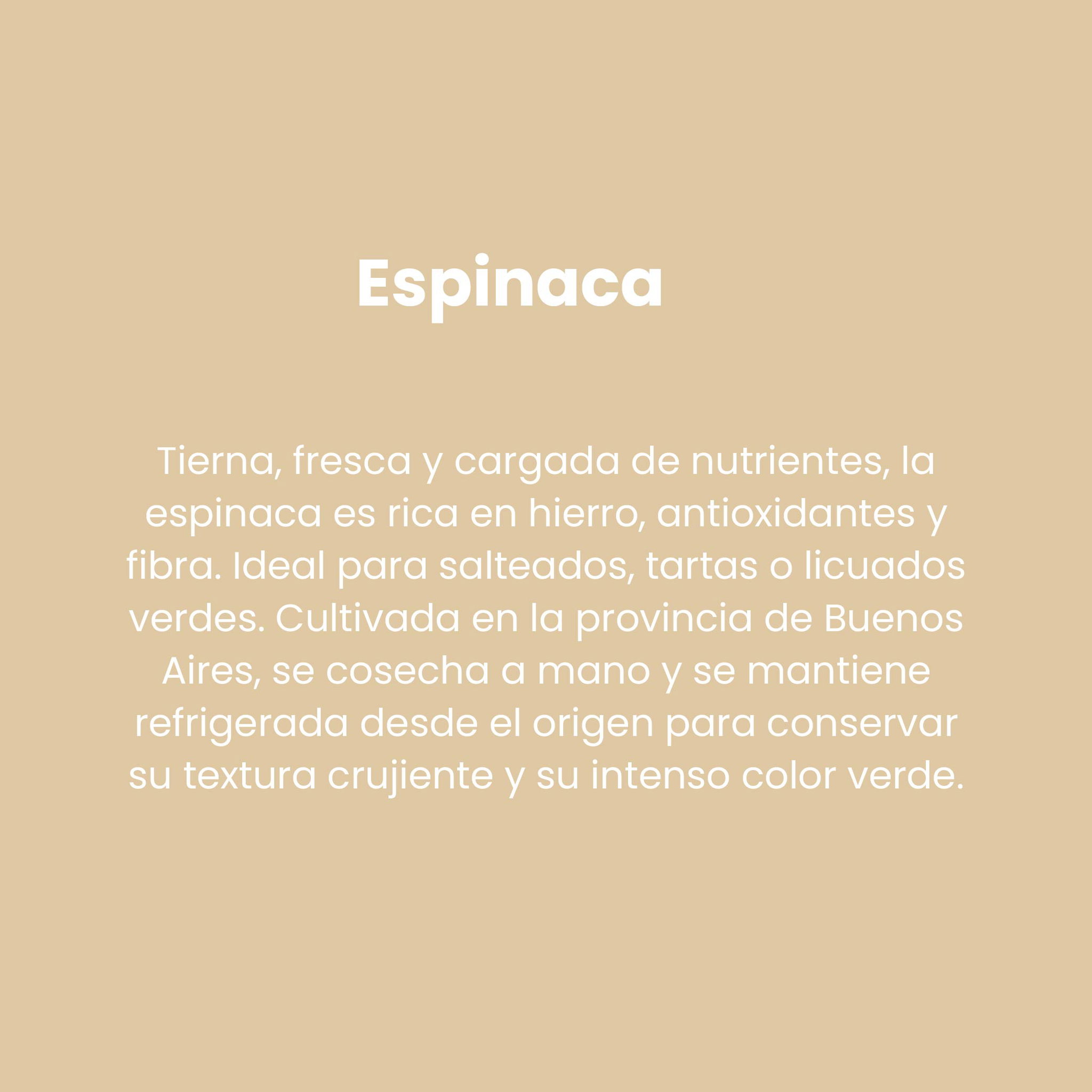 Espinaca_1