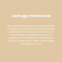Lechuga Mantecosa