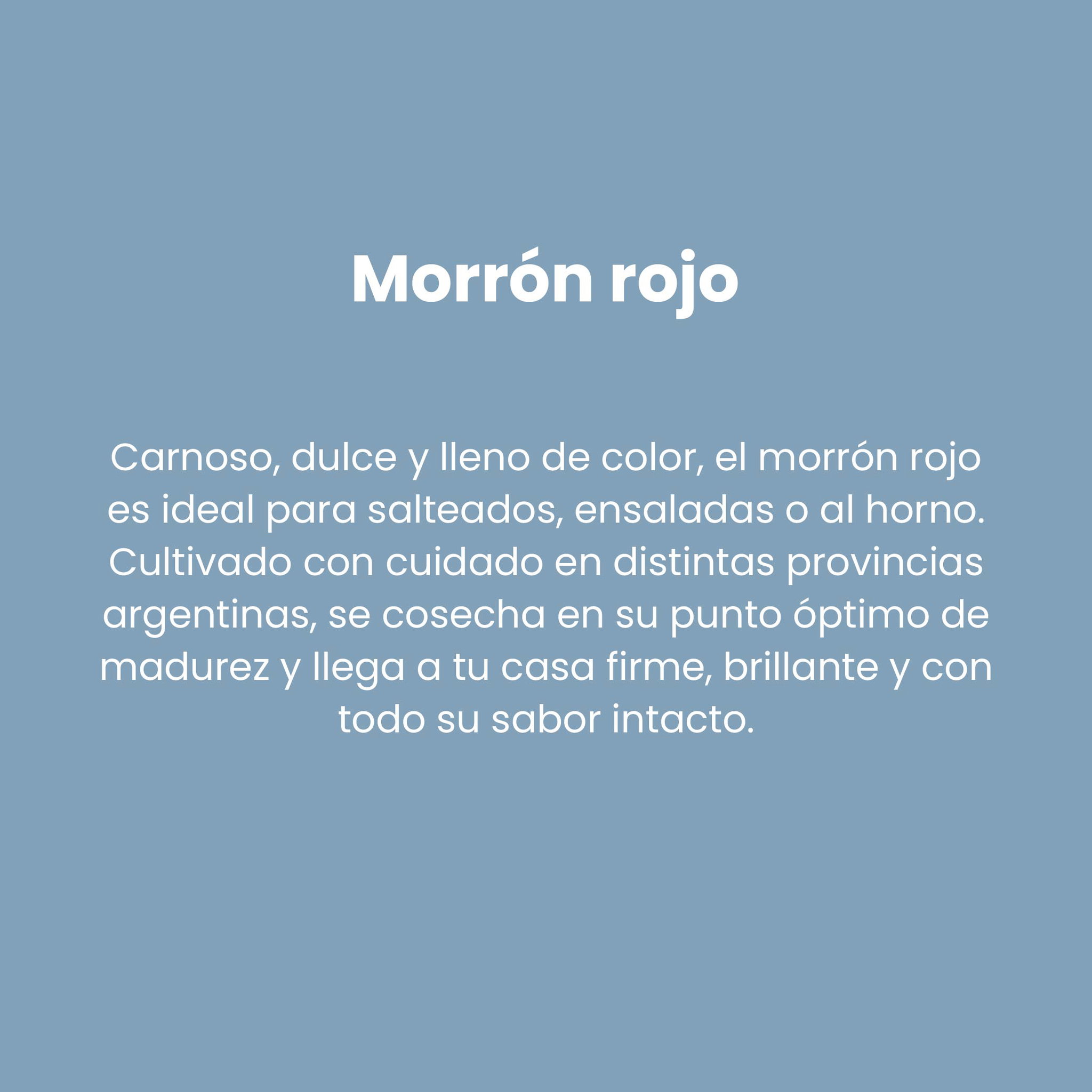 morrón Rojo_2
