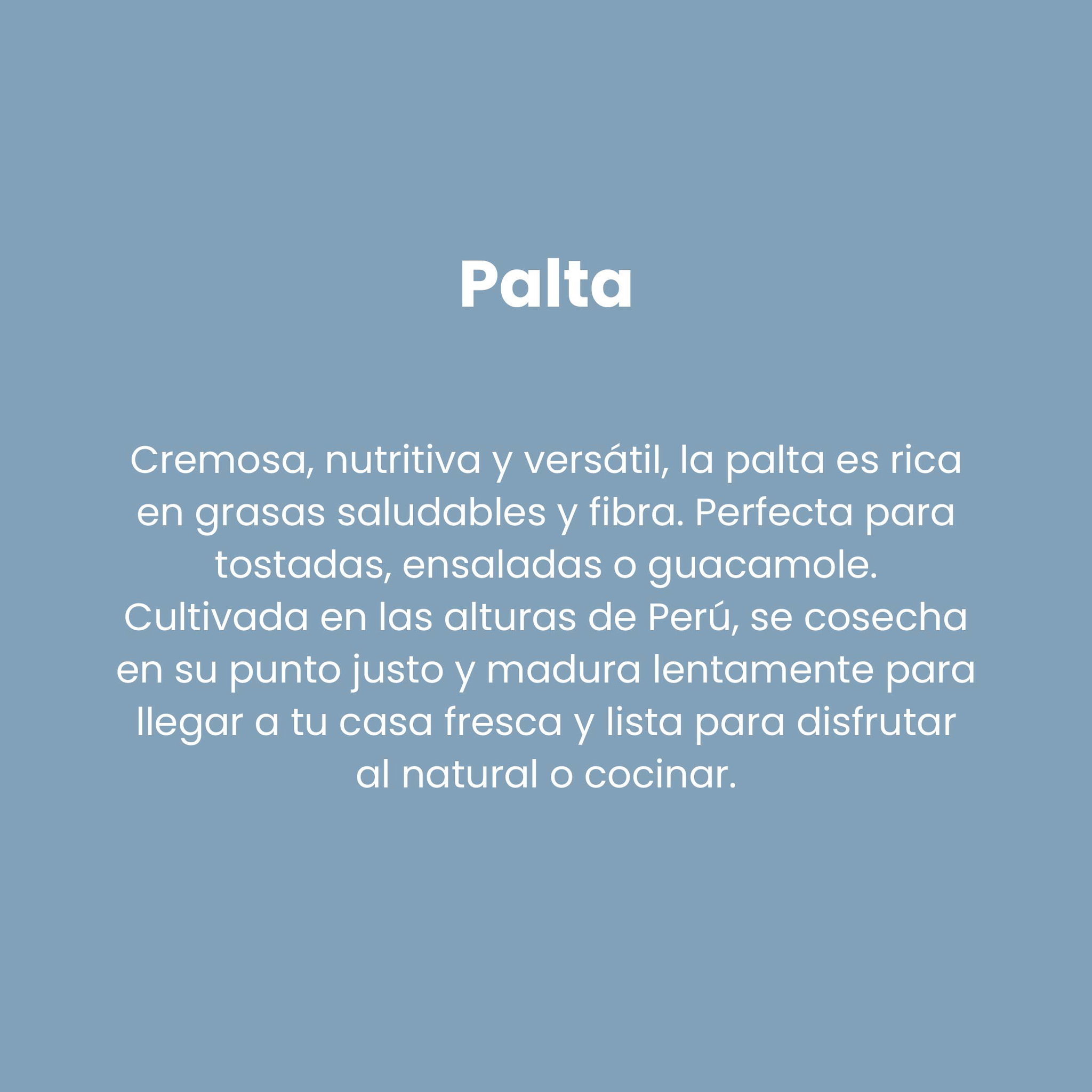 Palta Hass_1