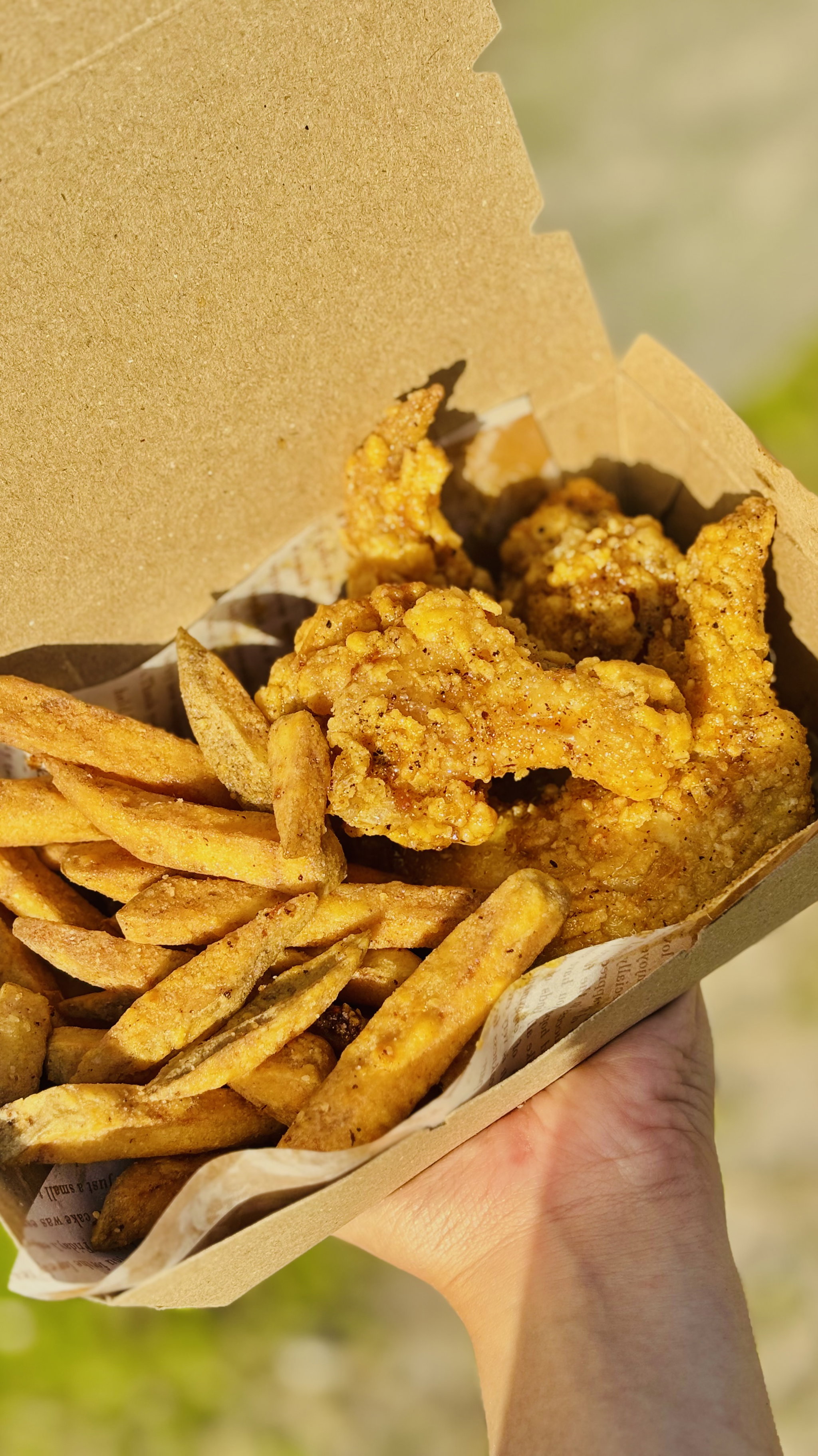 COMBO (3PCS TENDER WITH FRIES)_0