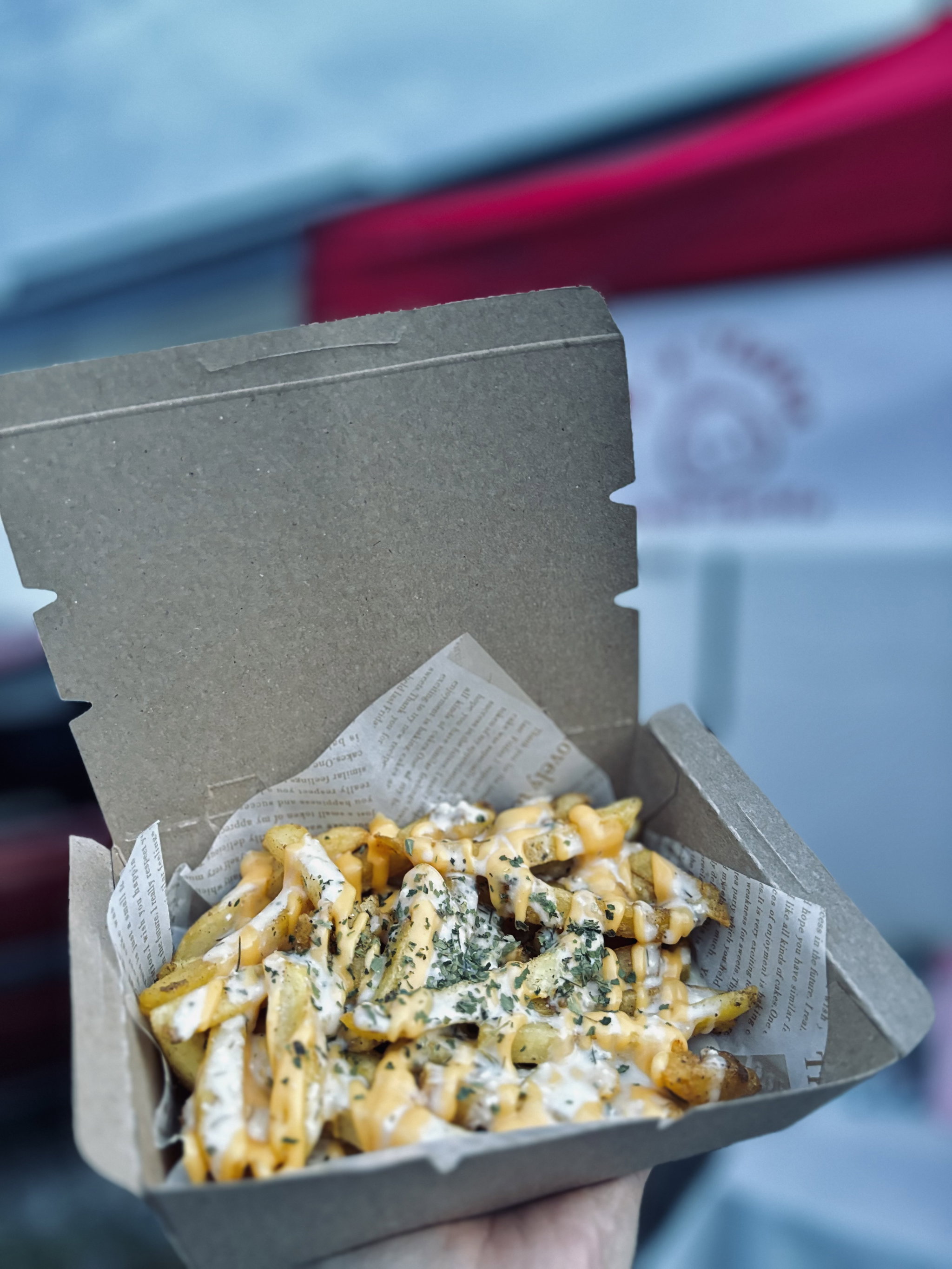 RANCH CHEESE FRIES_0