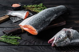 Fresh Whole Salmon