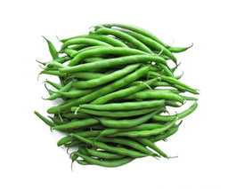 Haricot Vert