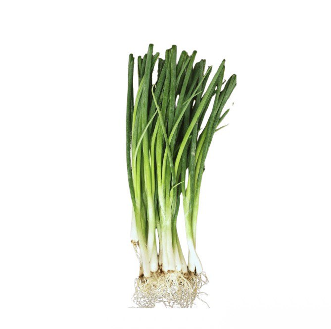 Feuille d oignon