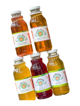 Fermentum Kombucha Varieties / Variedades de Kombucha Fermentum