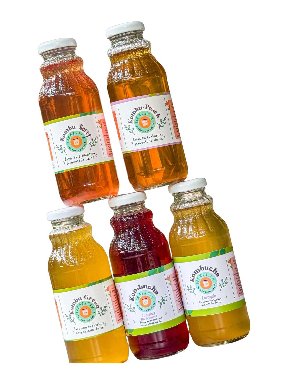 Fermentum Kombucha Varieties / Variedades de Kombucha Fermentum