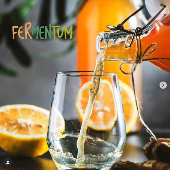 Fermentum Kombucha Varieties / Variedades de Kombucha Fermentum_4