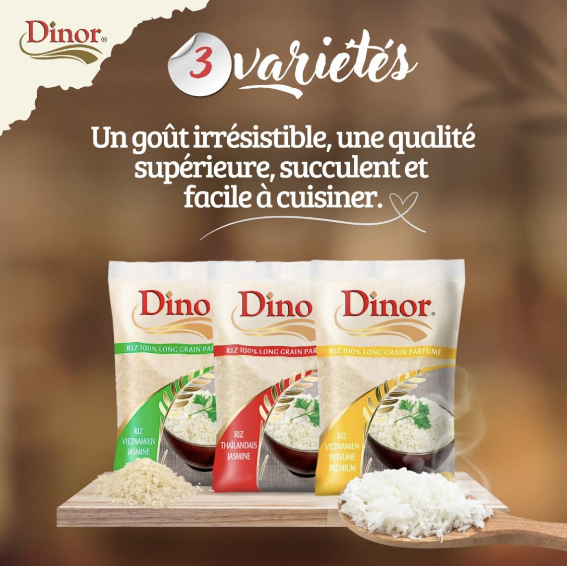 Riz Dinor _2