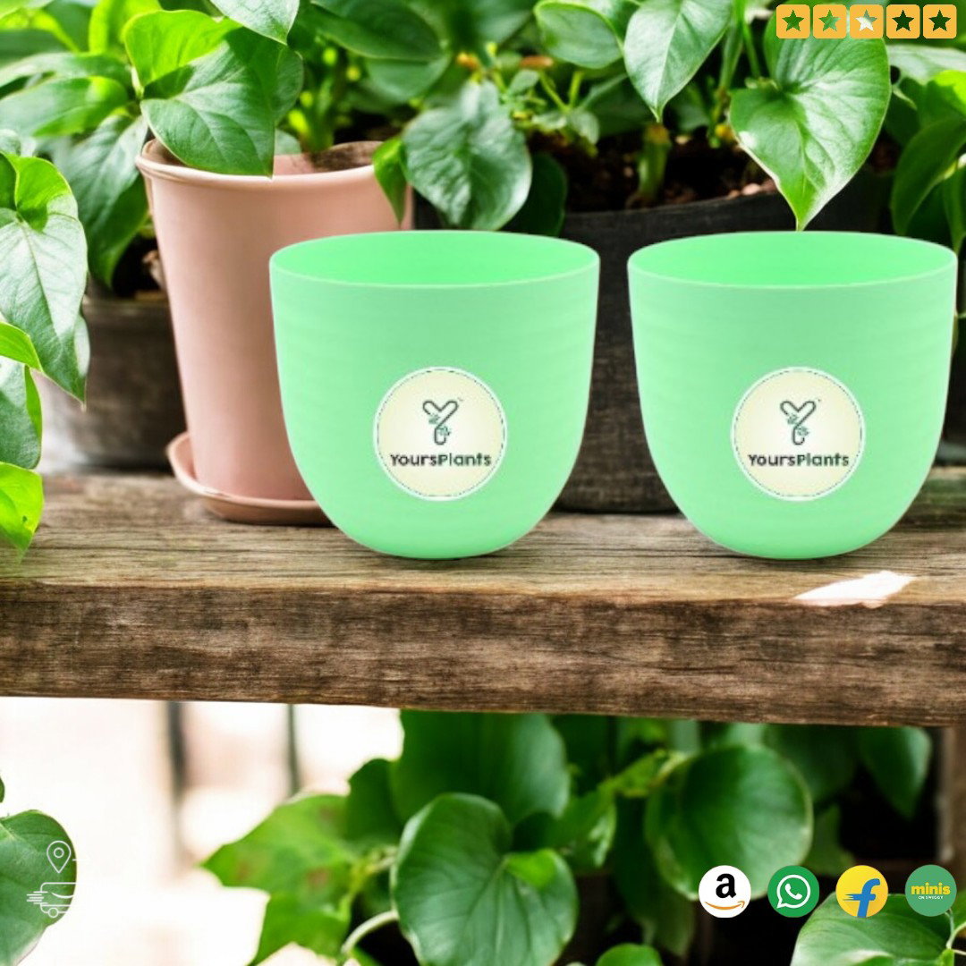 Verona Plants Pot for Home & Office Decor {Pack of 2} | Green_6
