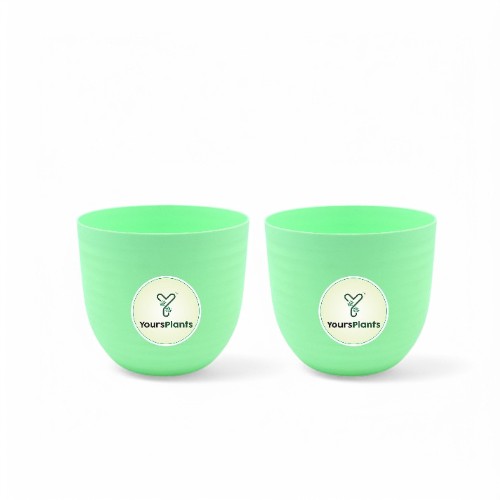 Verona Plants Pot for Home & Office Decor {Pack of 2} | Green_7