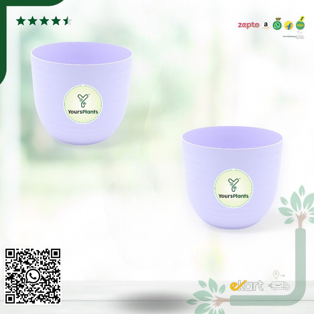 Verona Plants Pot for Home & Office Decor {Pack of 2} Purple