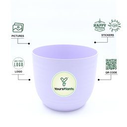 Verona Plants Pot for Home & Office Decor {Pack of 2} Purple