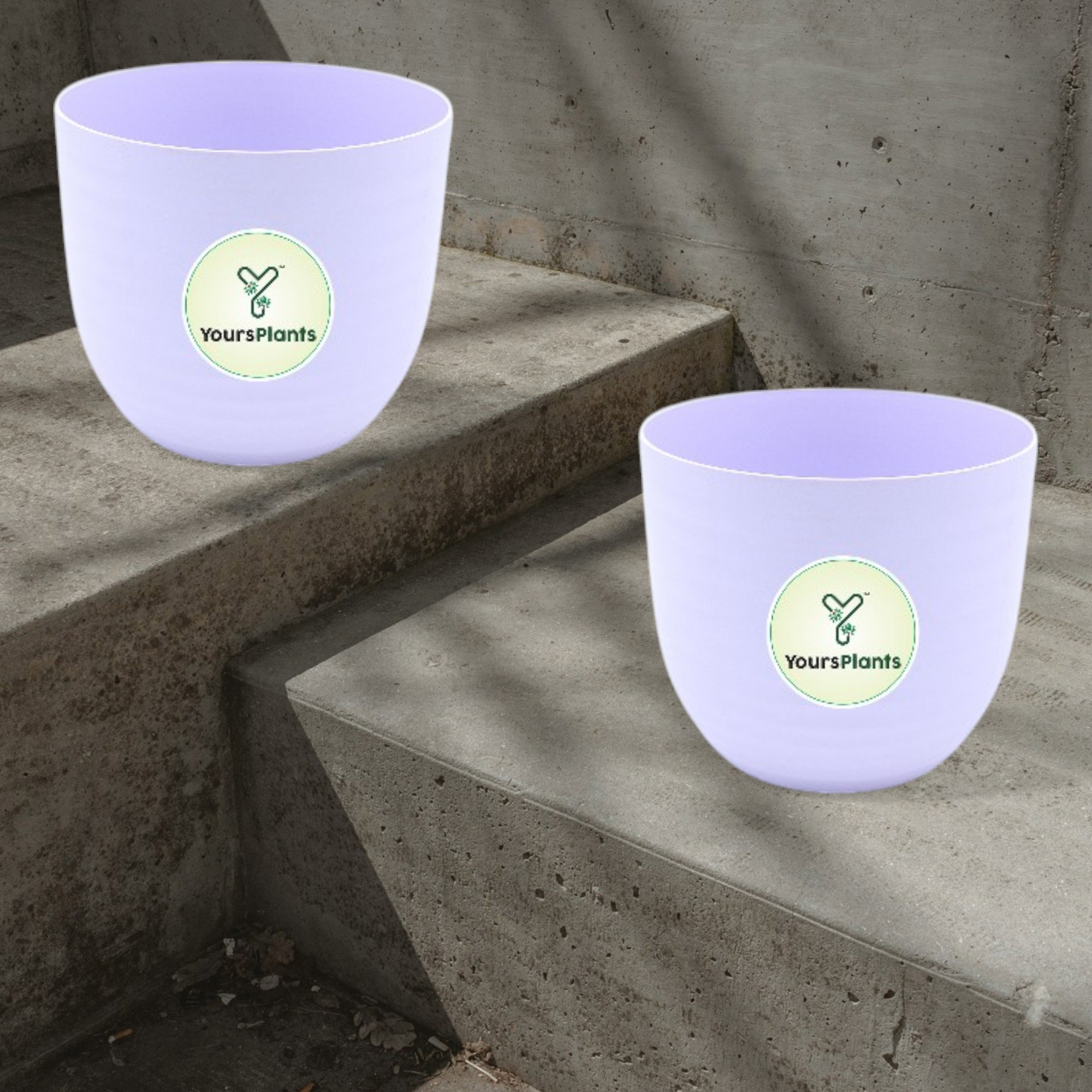 Verona Plants Pot for Home & Office Decor {Pack of 2} Purple_6