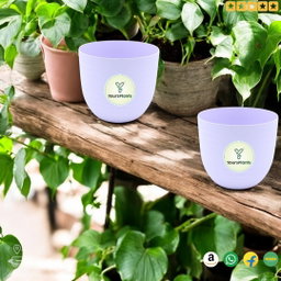 Verona Plants Pot for Home & Office Decor {Pack of 2} Purple