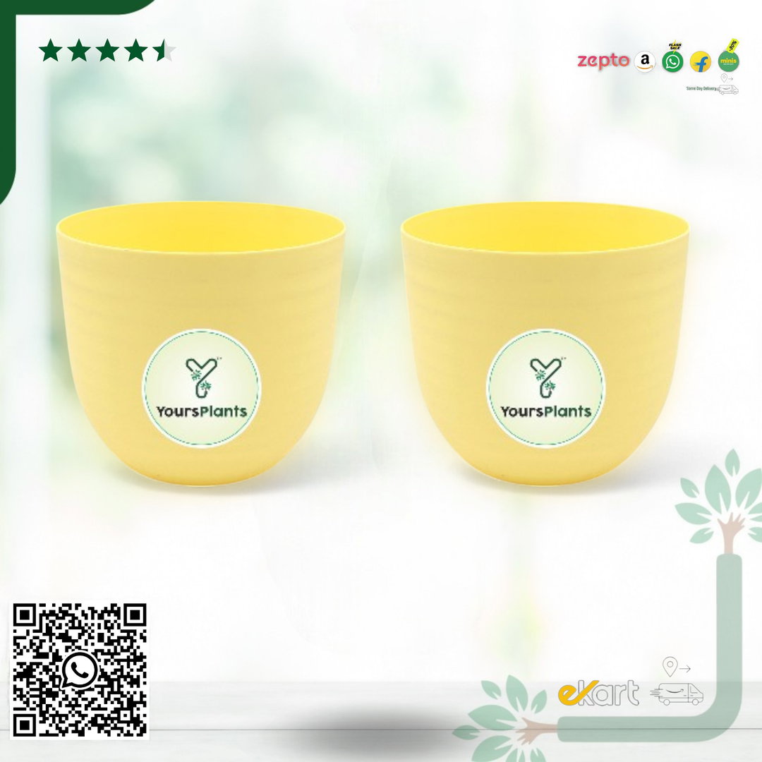 Verona Plants Pot for Home & Office Decor {Pack of 2} Yellow