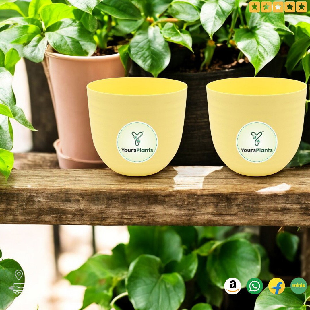Verona Plants Pot for Home & Office Decor {Pack of 2} Yellow_6