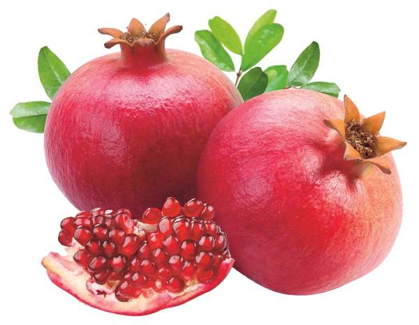 Rodii buc