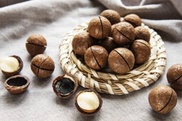 Esencia Macadamia 