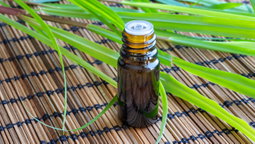 Esencia Citronela 