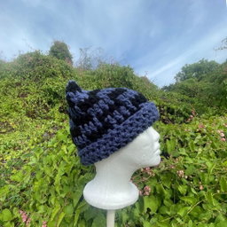 Checkered Cat Ear Beanie