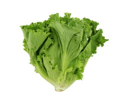 Salade ( laitue 🥬 )