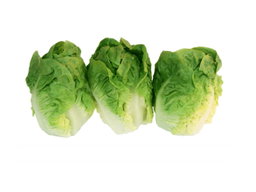 Salade ( laitue 🥬 )