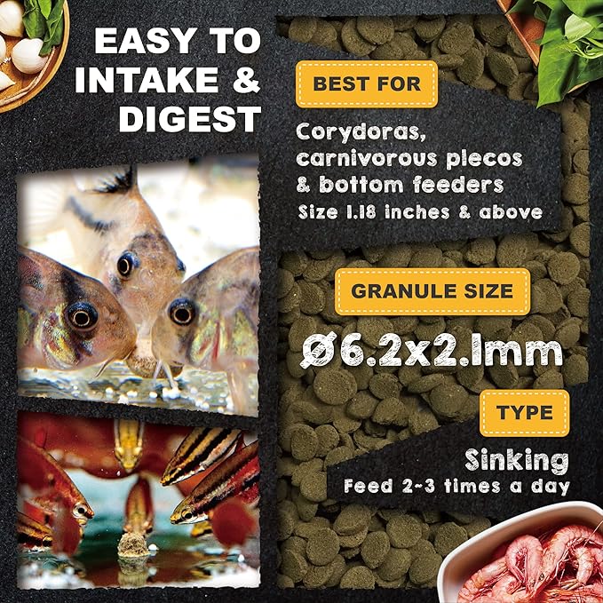 Ultra Fresh Shrimp Delight TROPICAL SHRIMP PIE 330ML/140G_3