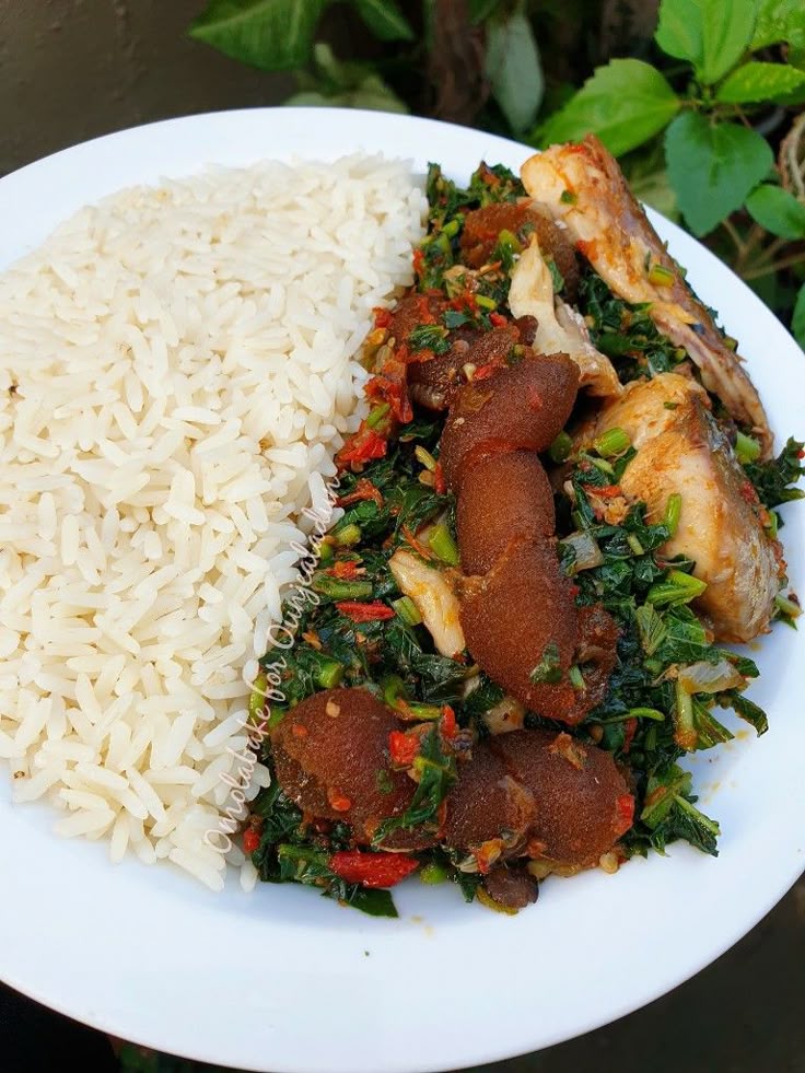 Riz sauce légume (feuille) - MAMAN OLIVIA_0