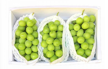  Sunshine Jumbo Rose Muscat (Grade AAA) (700g)_0