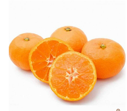  Japan Saga Karatsu Mikan Tangerine ( 270 g)