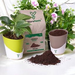 Cocopeat Bag Pack Low Ec -1 Kg