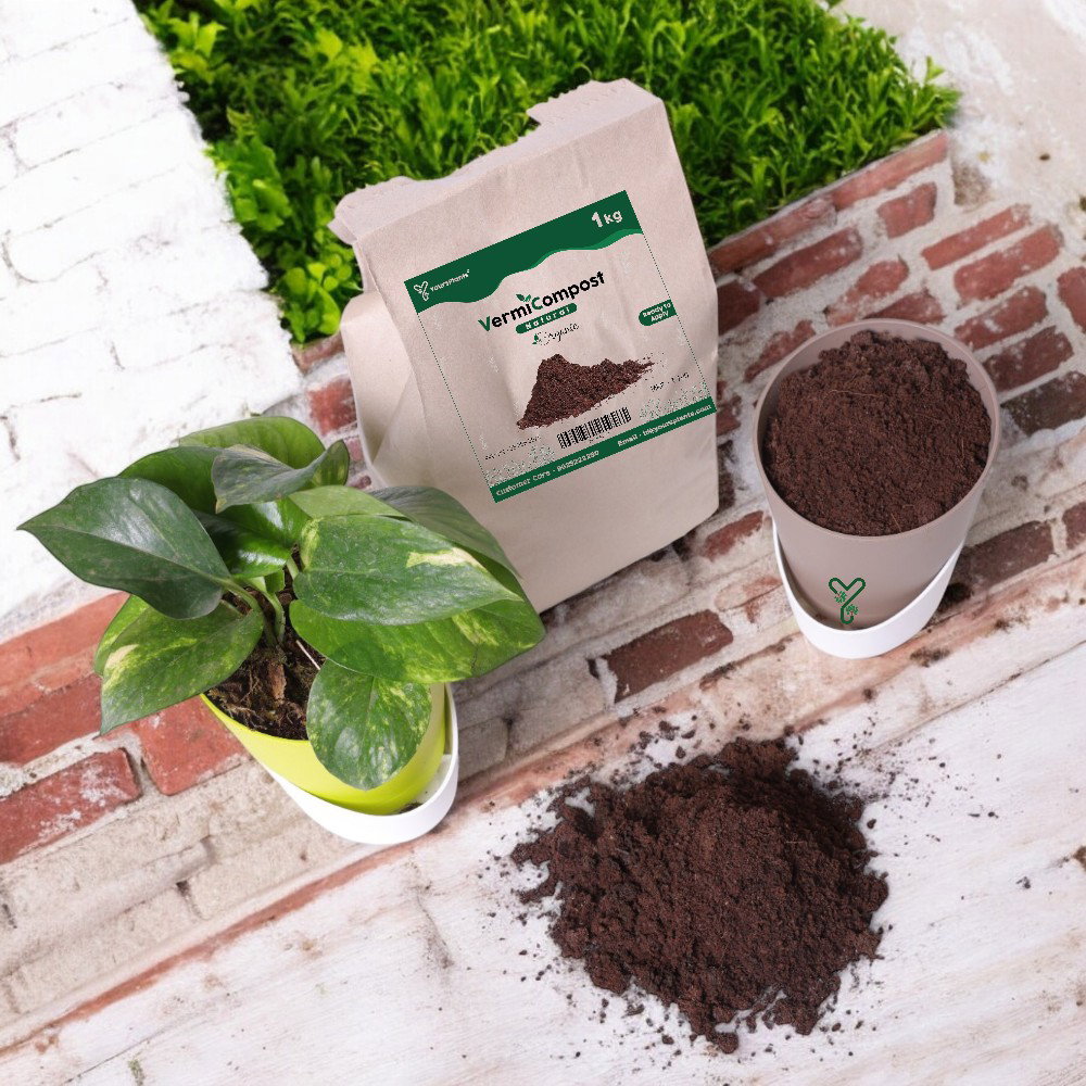 VermiCompost 100% Cow Dung, Organic Compost  -995g_2