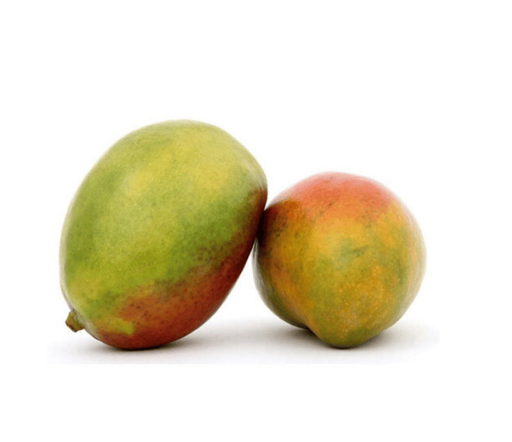 Mangue _0