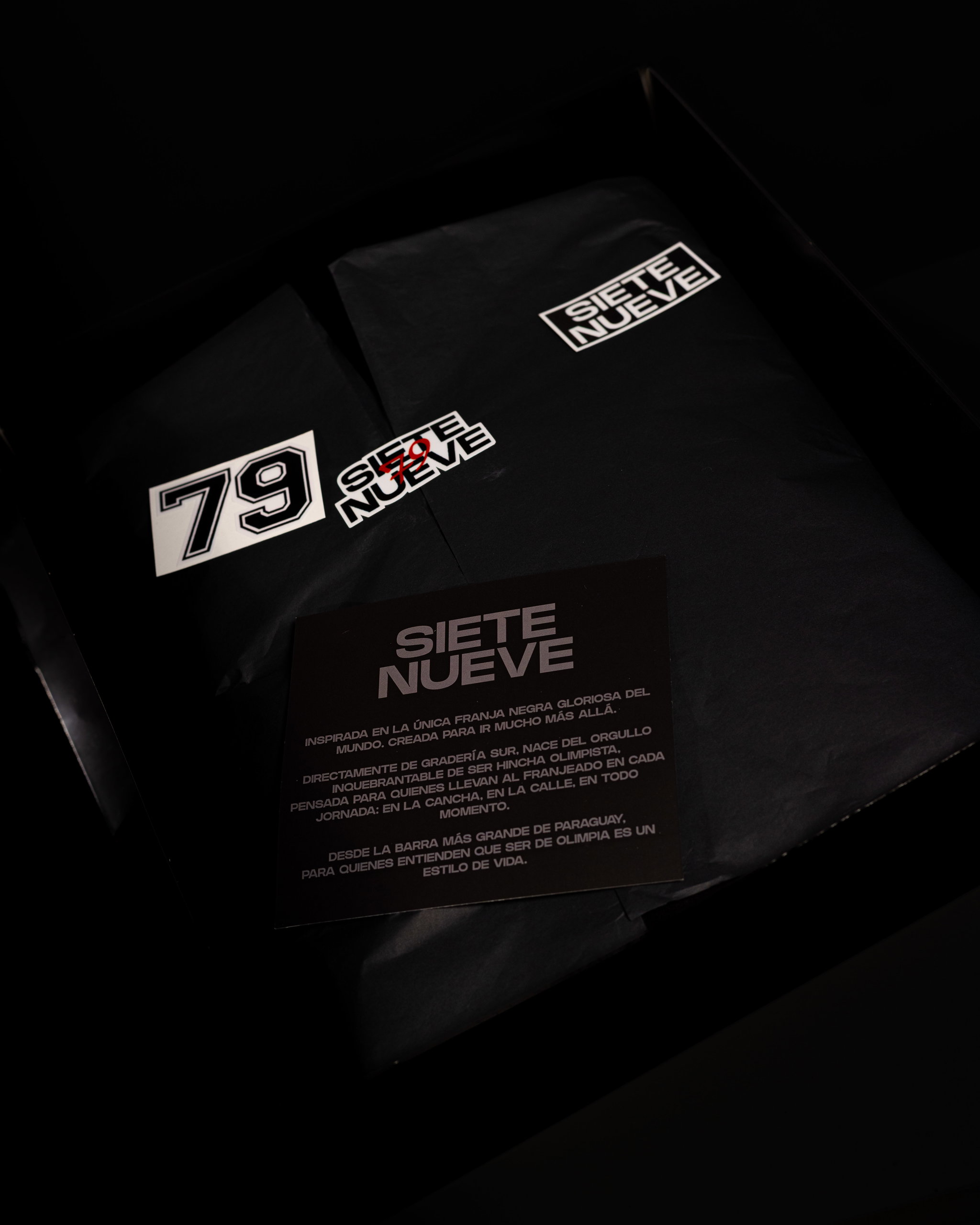 Hoodie Siete Nueve Premium_8