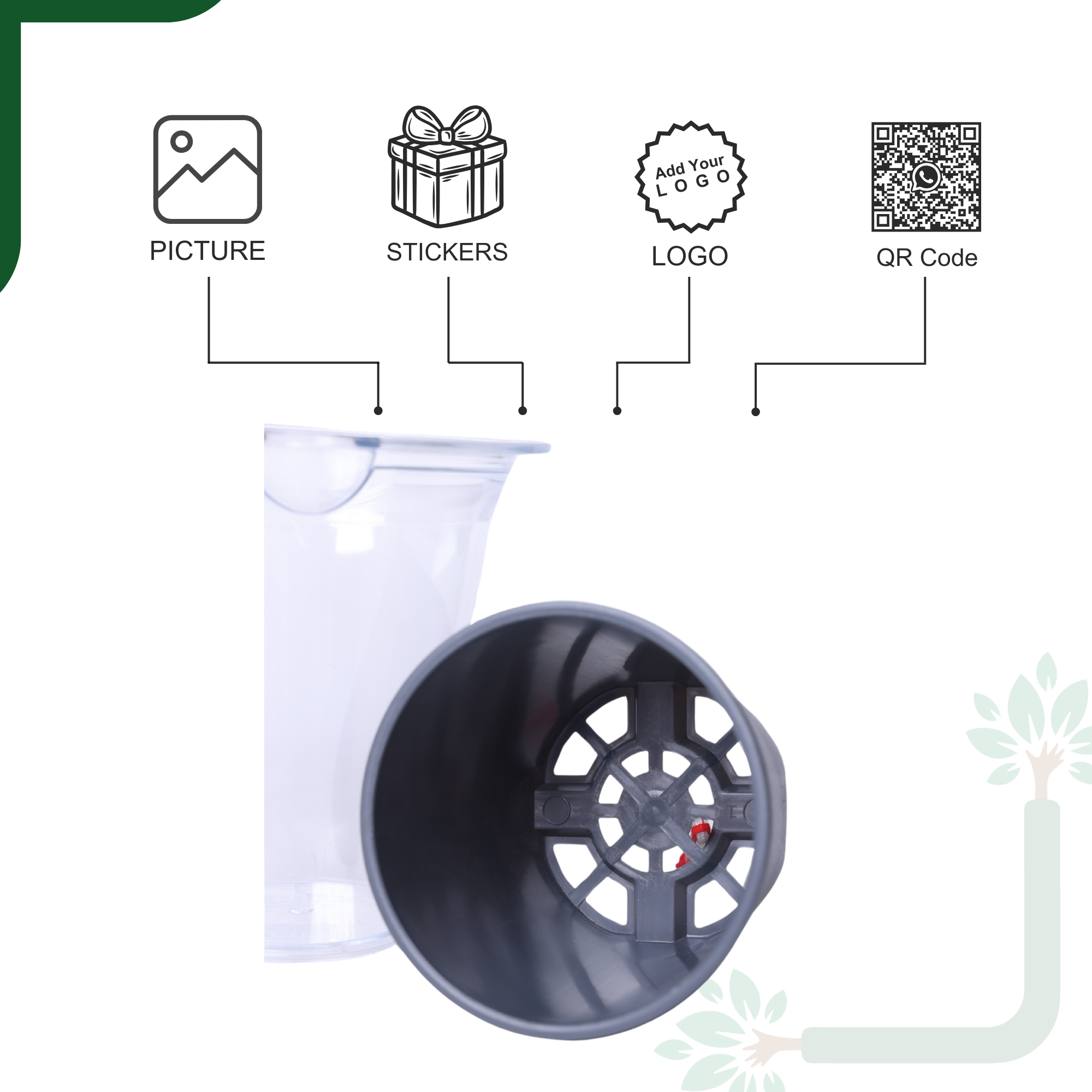 Mascot Self Watering  Glassy 5-Inch Pot | Pack Of 2, Good for Lucky Bamboo_3