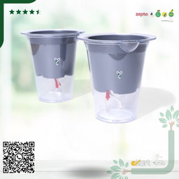 Mascot Self Watering  Glassy 5-Inch Pot | Pack Of 2, Good for Lucky Bamboo