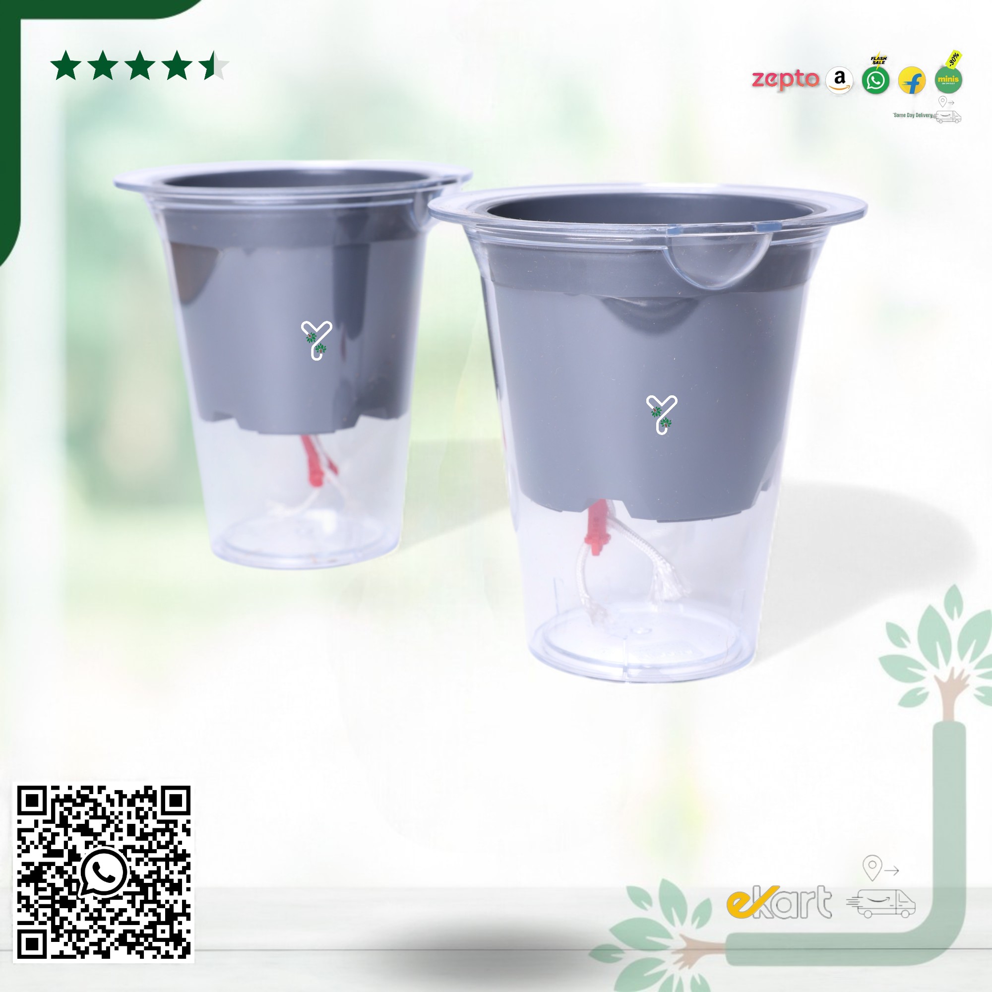 Mascot Self Watering  Glassy 5-Inch Pot | Pack Of 2, Good for Lucky Bamboo_4