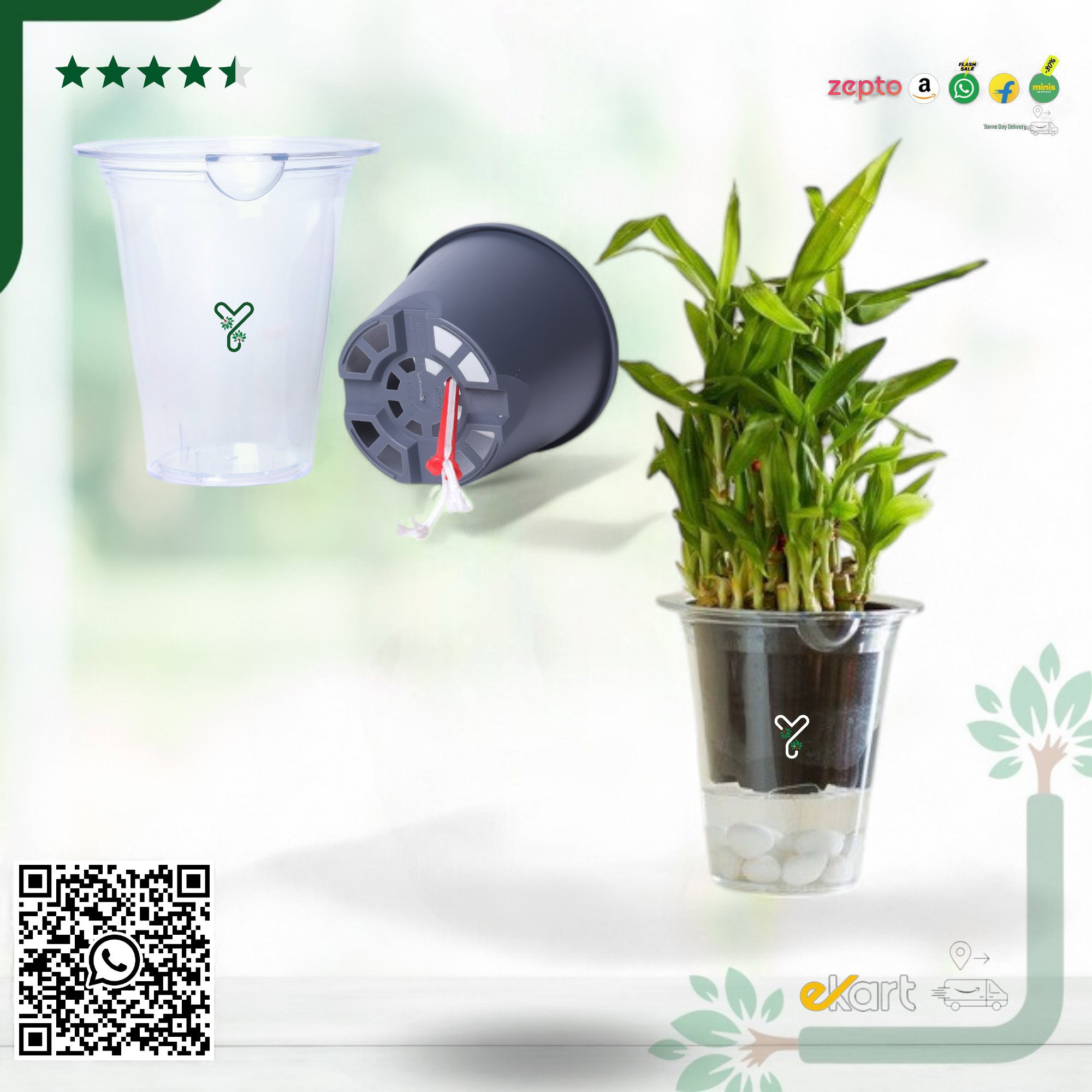 Mascot Self Watering Glassy 5-Inch Pot | Pack Of 2, Good for Lucky Bamboo